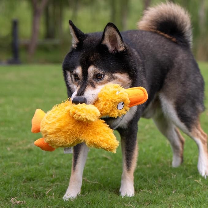 Best Pet Supplies Squeaky Plush Dog Toy - Ducky Doodle, Small | Soft Plush, Squeaks & Crinkles, Perfect for Moderate Chewers, Toss & Fetch Play, Stress & Anxiety Reliever, Ideal Gift Toy