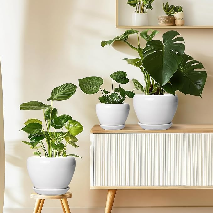 Ceramicfor Ceramic Pot for Plants - 8 Inch Ceramic Planter for Indoor Plants, Modern Round Planter with Drainage Hole and Saucer, Plant Lover Gifts, Home Office Garden Decor, White