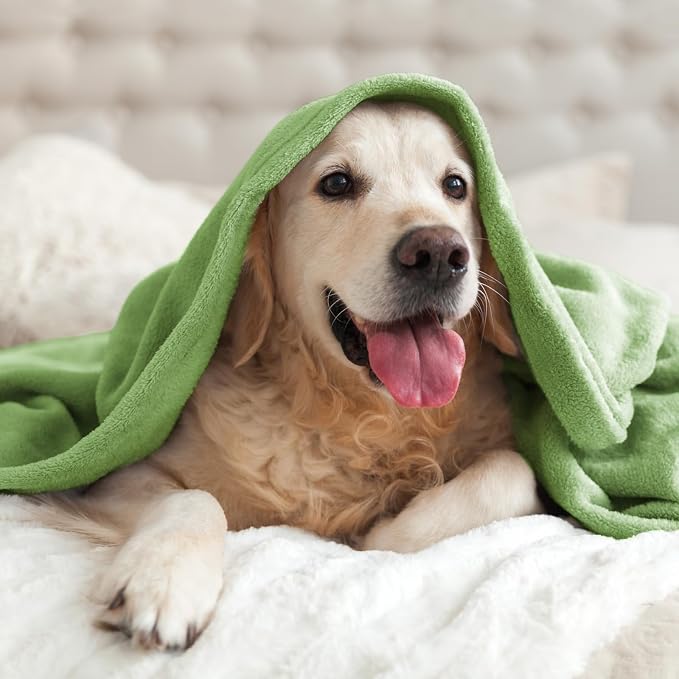 BEDELITE Fleece Blanket Soft Plush King Bed Blanket Grass Green 108"x90" | Ultra Soft Fleece, Plush Microfiber, Lightweight Warmth, All Season Comfort, Fade Resistant, Machine Washable