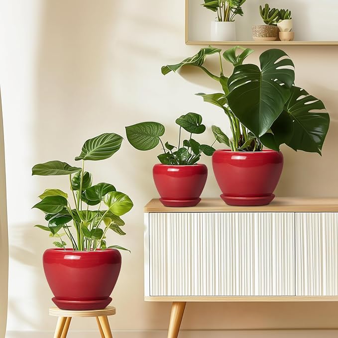 Ceramicfor 6 Inch Plant Pot - Glaze Modern Ceramic Planter for Indoor Plants, Succulent Pot with Drainage Hole and Saucer, Office Garden Home Decor, Housewarming Gift, Red