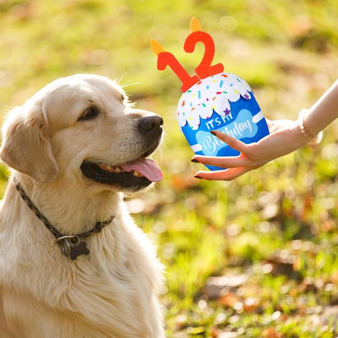 Dansydaisy Dog Birthday Cake Toy Squeaky Plush Gift,12th,Blue