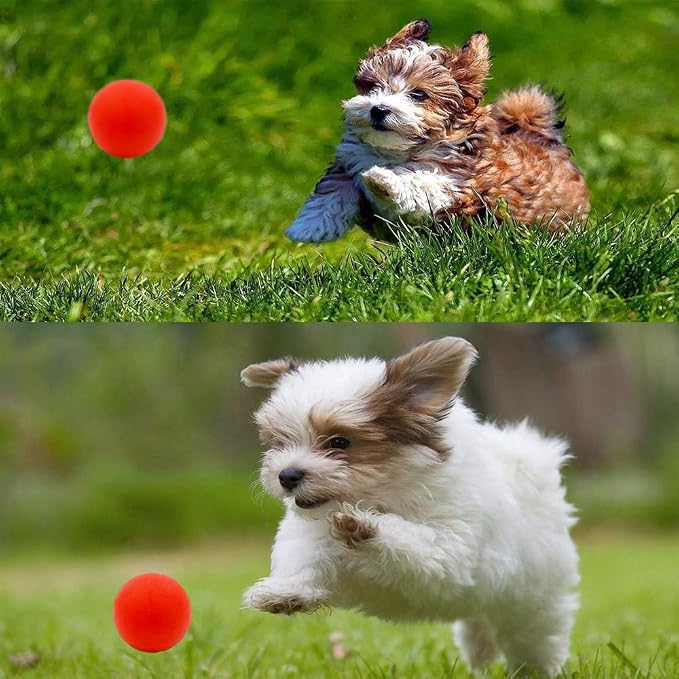 Volacopets Puppy Balls - Pack with Different Functions & Teething Toys for Small Dogs, Squeaky Dog Balls, Rubber Chew Toys for Enrichment