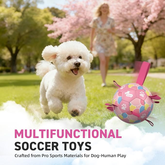 QDAN Dog Soccer Ball Toy with Strap, Pastel Color Puppy Toys Gifts, 6 Inch