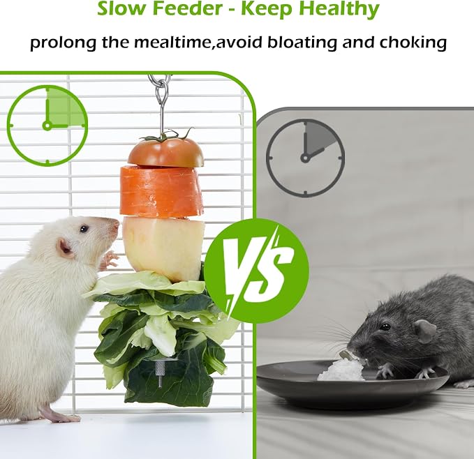 2Pcs Rat Enrichment Toys Set - Fruit/Veg Holder & Treat Dispenser