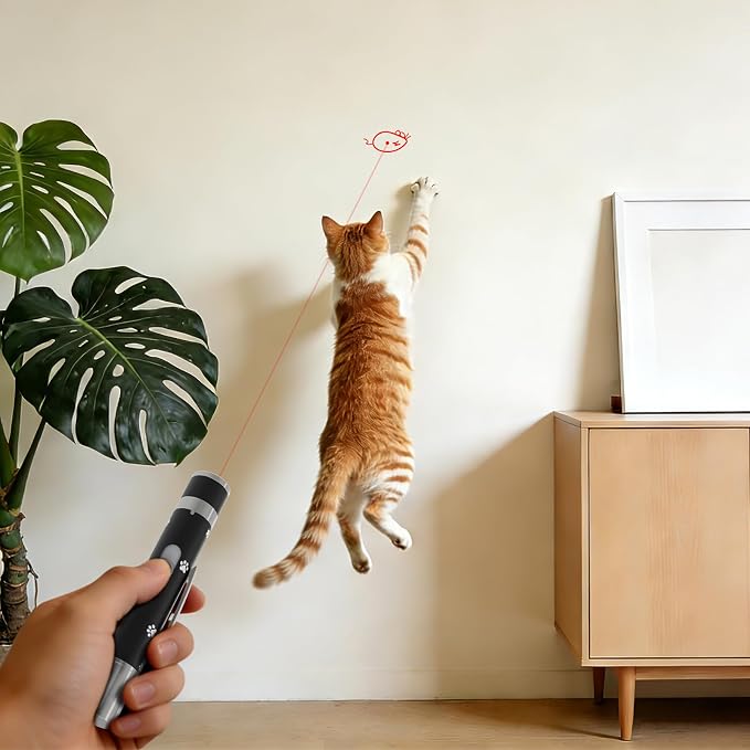 Cat Toy, Distinctive Black Painted Metal Casing with Paw Print Design, USB Rechargeable, 5 Adjustable Light Patterns, Portable Interactive Chase Toy for Indoor Cats & Dogs Training and Exercise