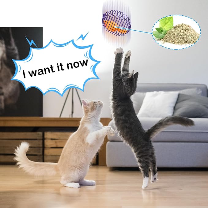 Jecery 5 Pcs Cat Toys Spring,Catnip Rats,Multicolor