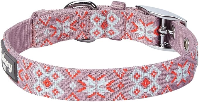 Blueberry Pet Southwestern Modern Tribal Print Thistle Braided Adjustable Dog Collar with Metal Buckle, Neck 13-16.5", for Medium Breed