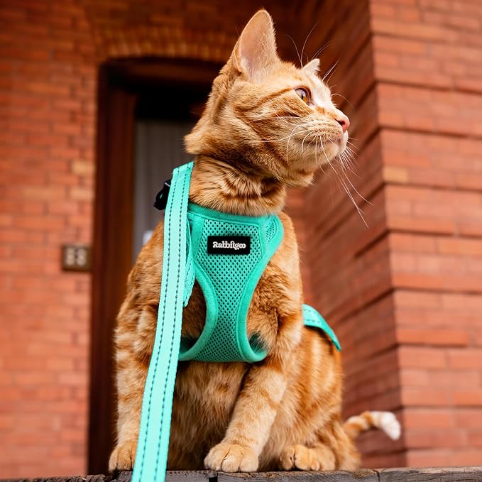 rabbitgoo Cat Harness and Leash, Easy-on with Neck Buckle, Green