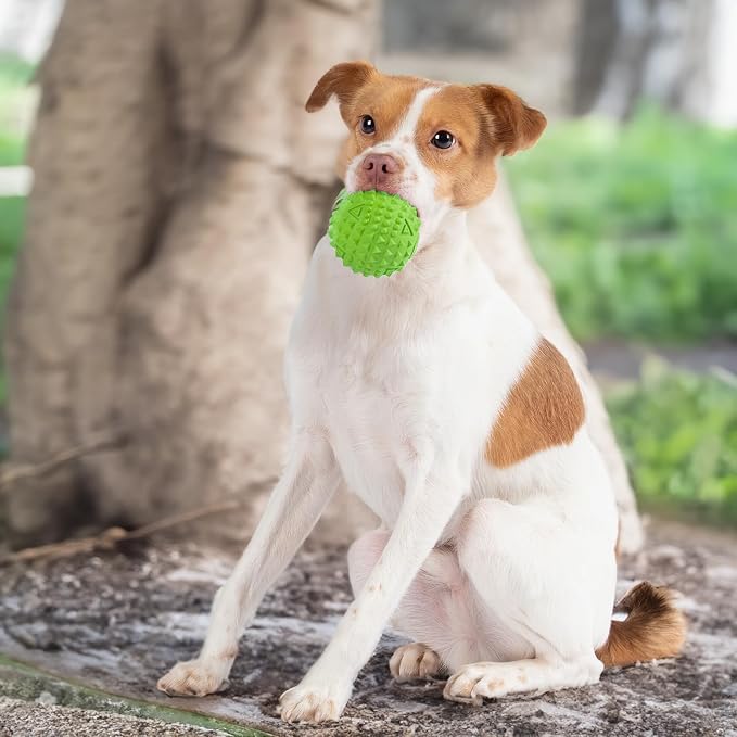 Best Pet Supplies Squeaky Dog Toys with Soft Durable Fabric for Small, Medium and Large Pets Interactive Toy for Indoor Play, Supports Active Biting and Play - Green, Large