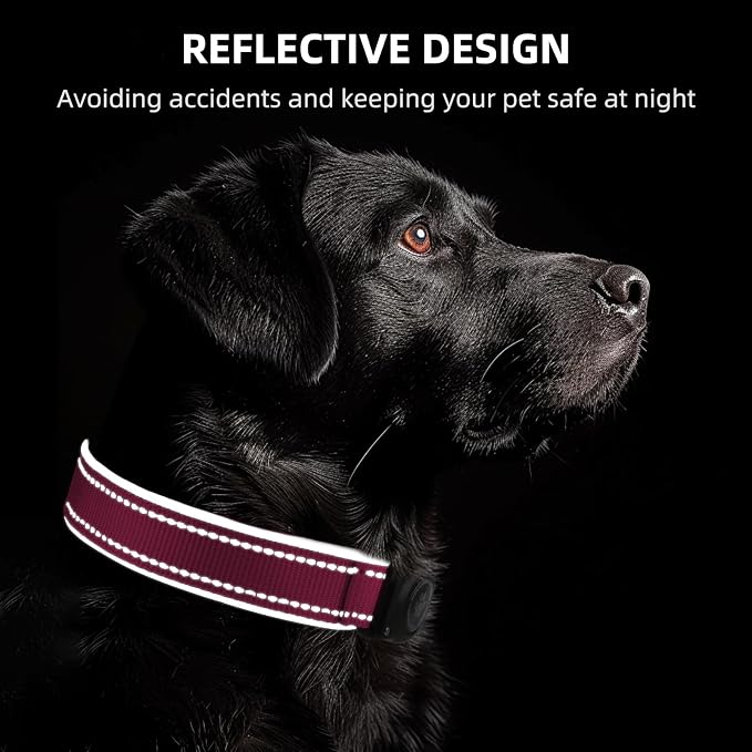 Upgrade Dog Collar with AirTag Holder, IP68 Waterproof, Watermelon red, XL | Built-in Water Resistant AirTag holder, 1000D Nylon, Reflective Stitching for Night Visibility, Soft padding for Comfort