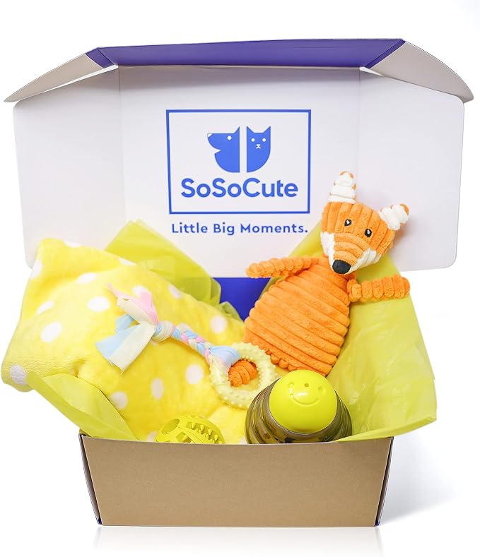 Puppy Starter Kit β 5pc Dog Toy Gift Set for Small Dogs β New Puppy Essentials Gift Box with Blanket, Squeaky Plush, Teething Ring, Treat Ball & Chew Ball (Yellow)