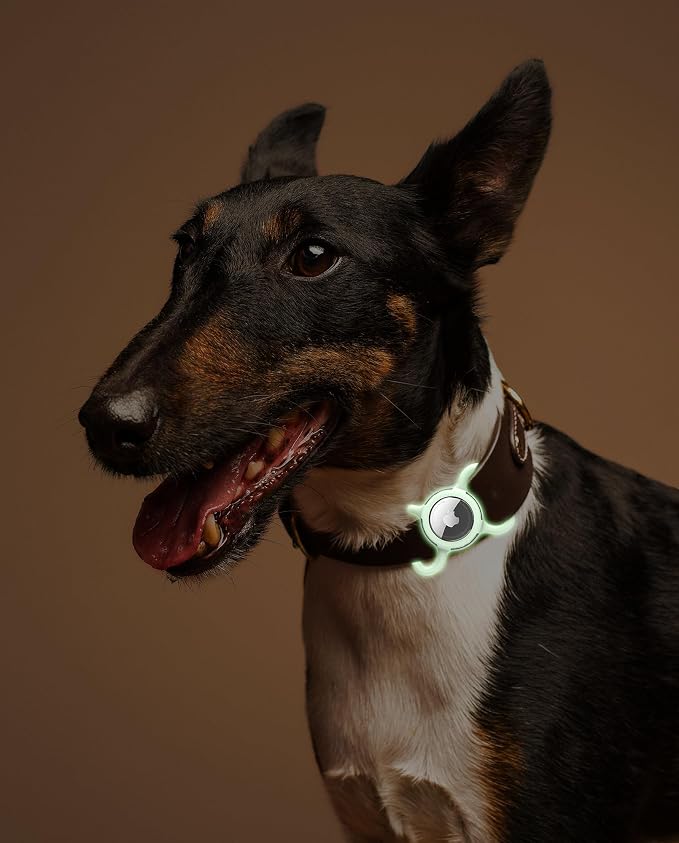 Waterproof AirTag Holder for Dog Collar, Soft Slide-On Dog AirTag Holder | Full-Body Protection, No-Dangle Fit, Ultra-Durable, Lightweight, Tool-Free Installation, Clear Cover, Fits Dog & Cat Collars