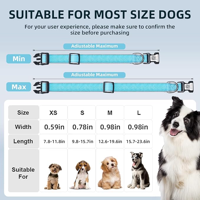 Reflective Personalized Dog Collar for Large Dogs, Soft Neoprene Padded Dog Collar with QR Code Anti-Lost Tag & Online Profile, Blue, L