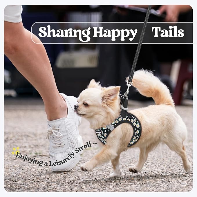 rabbitgoo Dog Harness Small Sized and Leash Set, Step-in Puppy Pet Vest | Light, Soft, Breathable Air Mesh, Easy on and Remove with Hook & Loop, Secure Reflective for Walking, Midnight Daisy XS