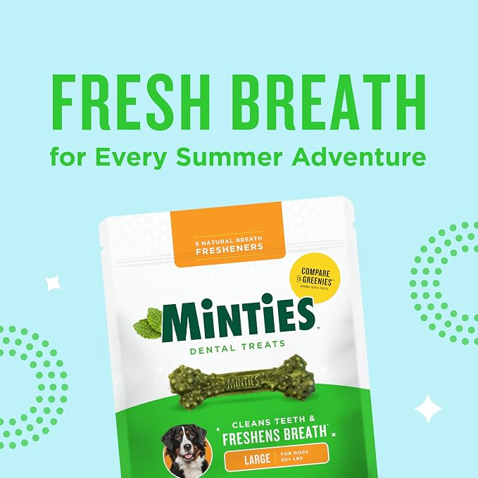 Minties Dental Chews for Dogs, 12 Count, Vet-Recommended Mint-Flavored Dog Treats for Large Breeds Over 50 lbs, Dental Bones that Clean Teeth, Fight Bad Breath, and Remove Plaque and Tartar | Vet-recommended mint dental bone; scrubs teeth as dogs chew;...