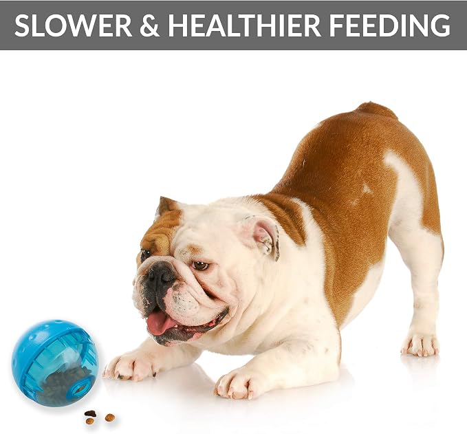 Our Pets IQ Treat Ball Interactive Food Dispensing Dog Toy, Assorted Colors (Pack of 2)