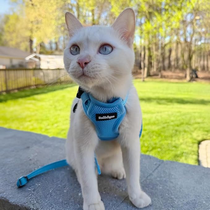 rabbitgoo Cat Harness and Leash, Easy-on with Neck Buckle, Sky Blue
