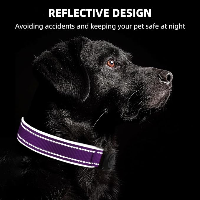 Upgrade Dog Collar with AirTag Holder, IP68 Waterproof, Grape Purple, M | Built-in Water Resistant AirTag holder, 1000D Nylon, Reflective Stitching for Night Visibility, Soft padding for Comfort