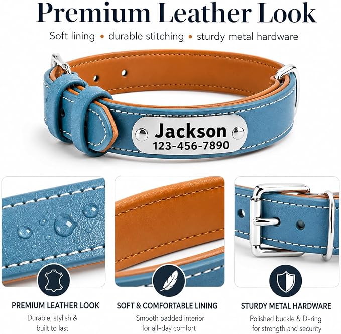 Personalized Genuine Leather Dog Collar with Name Phone Number-Sky Blue-M