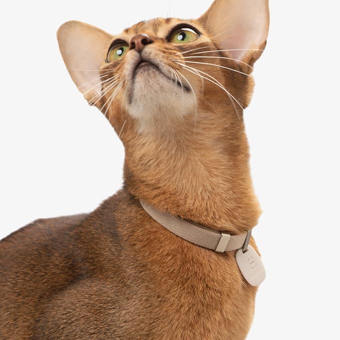 Cat Collar with QR Code Name Tag, 6-12" Adjustable Non Breakaway QR Code Cat Collar Elastic Release Personalized Online Pet Profile Scan Contact Silicone QR ID Tag for Cats (Beige, S)