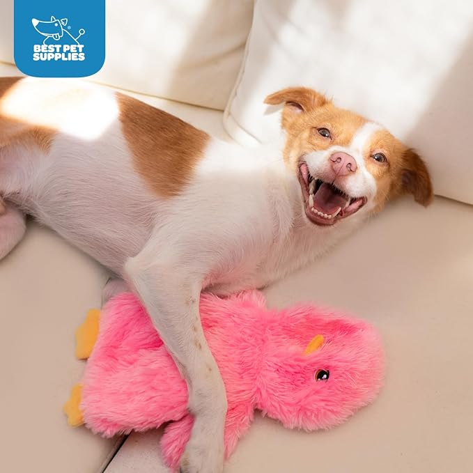 Best Pet Supplies Interactive Squeaky Dog Toy - Baby Chicken, Pink | Stuffing Free Body, Soft, Squeaks & Crinkles, No Mess, Perfect for Moderate Chewers, Toss and Fetch Play