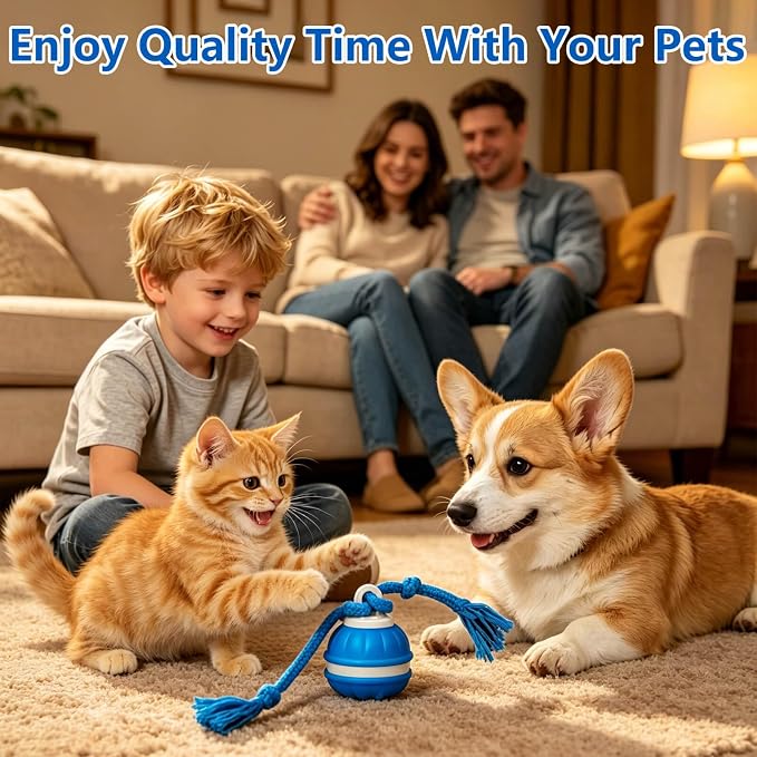 Interactive Dog Ball, 360° Self-Moving, USB-C, LED and Squeaker