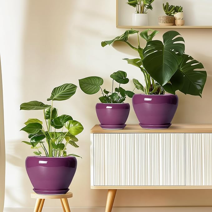 Ceramicfor Ceramic Planter - 8 Inch Plant Pot Indoor with Drainage Hole and Saucer, Glaze Decorative Planter, Round Flower Pot, Plant Lover Gifts, Home Garden Office Decor, Purple