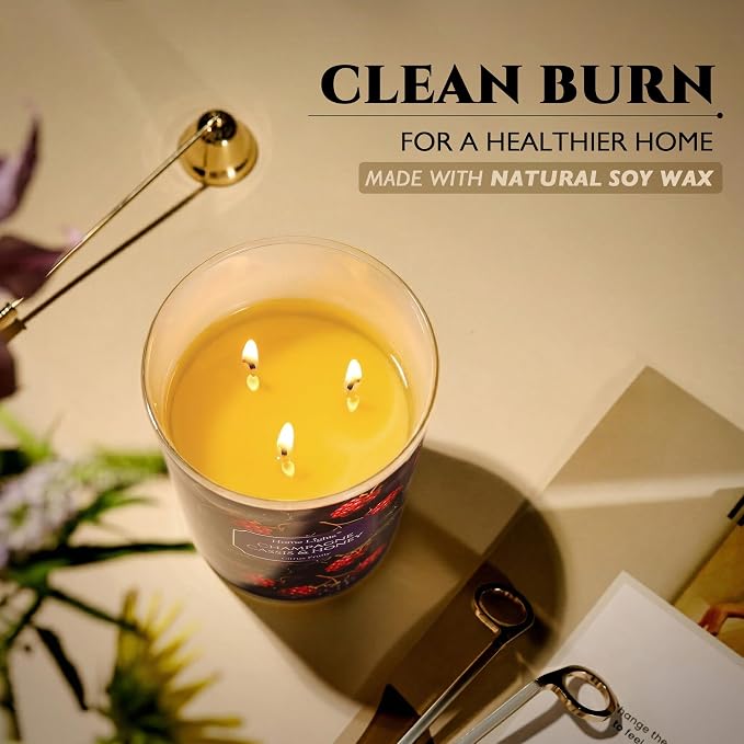 HomeLights Scented Candles for Women & Men, 34oz Candle Jars Aromatherapy 3-Wick Candle, Ideal for Eclectic Mixed Styles Home Decor and Gifts, Champagne Cassis & Honey