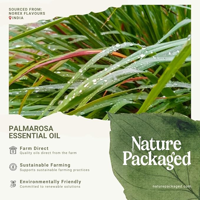 Palmarosa Essential Oil Direct from Norex Flavours India for Skin and Aromatherapy - Aceite de Palmarosa for Candle Scent for Candlemaking and Soaps (2lbs)
