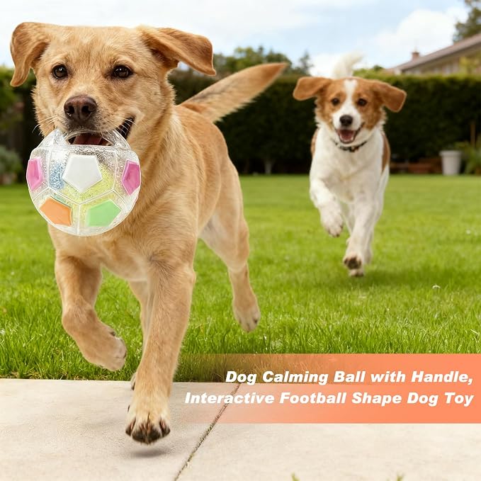 The Mellow Dog Calming Ball with Handle, Mellow Dog Calming Ball,Squeaky Floating Rubber Balls,Interactive Balls for Dogs Playing,Water Play,Training & Outdoor Games (Black)