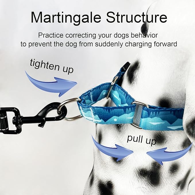 Martingale Collar for Dogs with Buckle Dog Collar Adjustable Soft Nylon Boy Dog Collars for Small Dogs, Blue Sunset
