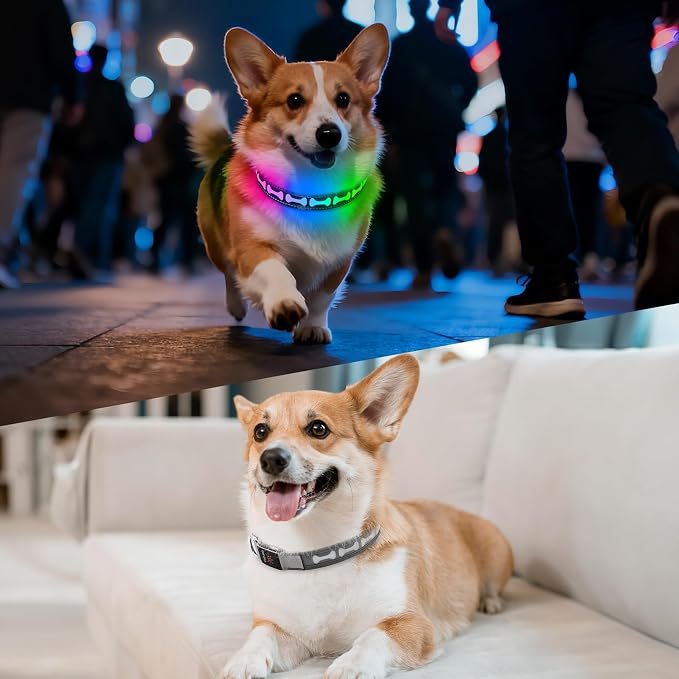 Flashseen LED Dog Collar Light up USB Rechargeable, 7-Color Glow, Grey, L