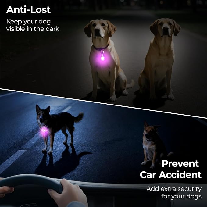 Dog Collar Light for Night Walking - LED Pet Collar for Night time Clip on | 3 Modes LED Flashing Light for Large Medium Small Pets, Outdoor, Running, Camping Bike (Pink)