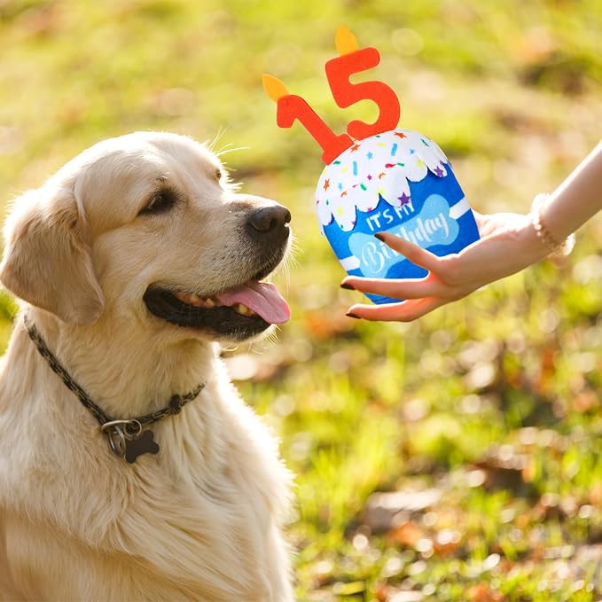 Dansydaisy Dog Birthday Cake Toy Squeaky Plush Gift,15th,Blue