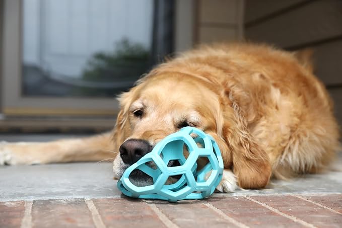 JW Pet HOL-ee Roller Dog Puzzle Ball, Large 5.5in, Natural Rubber, Blue