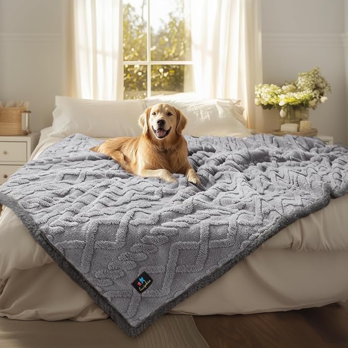 Luciphia Waterproof Blanket for Queen Bed Reversible Fleece Couch Cover | Reversible waterproof pet blanket with soft Sherpa fleece machine washable protect couch bed car, Light Grey 90" x 82"