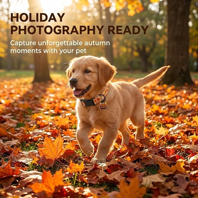 Fall Dog Collar, Thanksgiving Dog Collar for Large Dogs, L