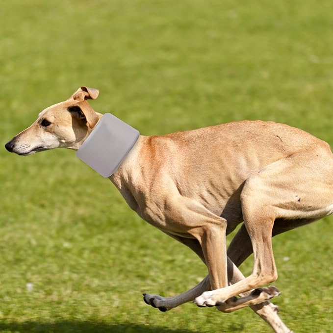 Dog Neck Brace for Pet After Surgery Recovery Adjustable Breathable Neck Cervical Cone,Dog Cone Collar Recovery Head Cone for Small Medium Dogs Puppies Kittens with Spinal IVDD Lssues (Gray,XS)