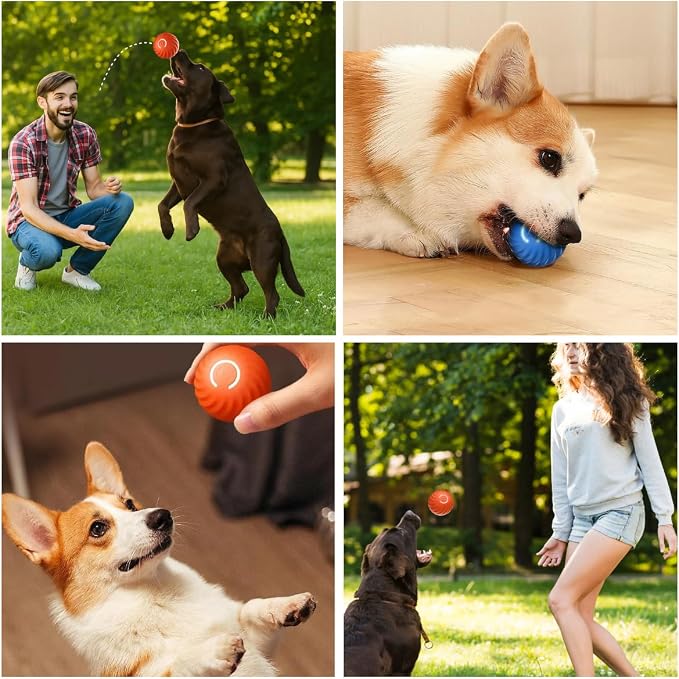 Smart Jumping Ball for Dogs,Automatic Moving Dog Toy,Pet Ball,Orange,All Breed Sizes,Adult Dogs