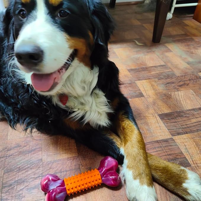 Tough Dog Toys for Aggressive Chewers: Peanut Butter Flavored Long Lasting Dog Bones for Large Dogs, Heavy Duty Nylon & Rubber Dog Chew Toys to Keep Them Busy, Medium & Large Breed, Orange