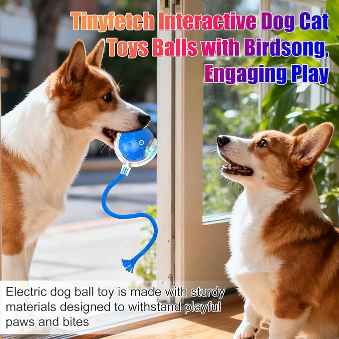 Tiny Fetch Dog Toy, Tinyfetch Interactive Dog Cat Toys Balls with Birdsong, 360° Smart Automatic Rolling Electric Dog Ball Toy, Fast Moving Balls Toys for Pets (red)