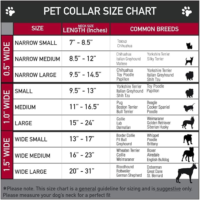 Buckle-Down Plastic Clip Dog Collar