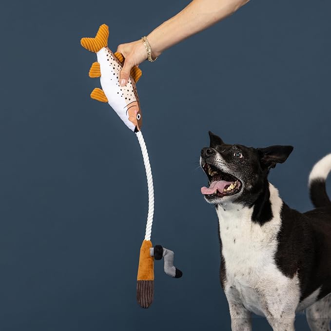 Fringe Studio On the Line Plush Dog Toy, Fish Pet Toy, PetShop Lake Life Collection (314761)