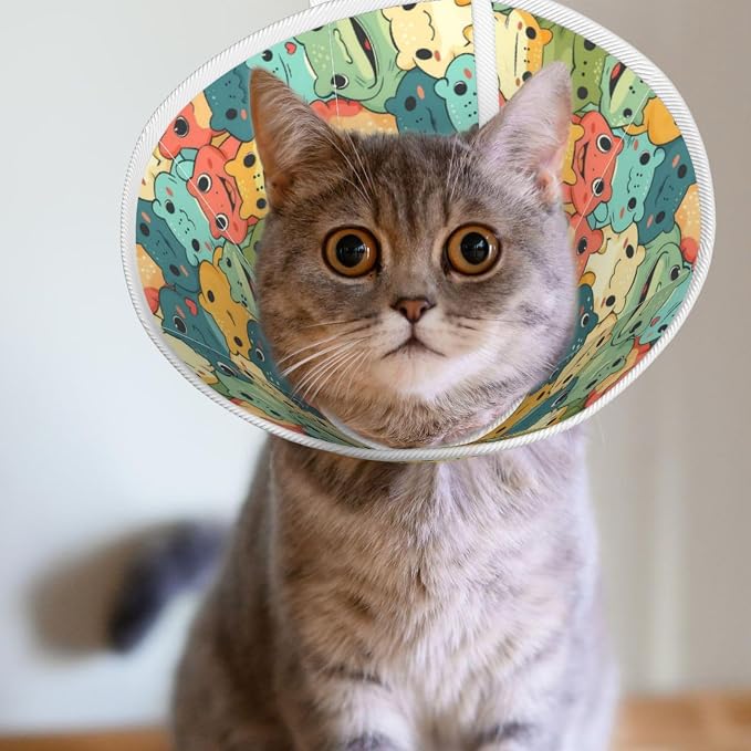 Cartoon Smart Frog for Adjustable Cat Cone Collar
