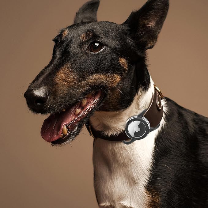 Waterproof AirTag Holder for Dog Collar, Soft Slide-On Dog AirTag Holder | Full-Body Protection, No-Dangle Fit, Ultra-Durable, Lightweight, Tool-Free Installation, Clear Cover, Fits Dog & Cat Collars