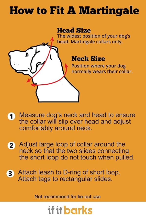 If It Barks 1" Martingale Collar with Quick Snap Release Buckle, Adjustable, USA Made, Medium, Shortcake