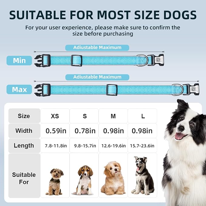 Reflective Dog Collar for Small Dogs,Personalized Dog Collar with Online Profile, Soft Neoprene Padded,Anti-Lose Function with QR Code Tag System,Blue S