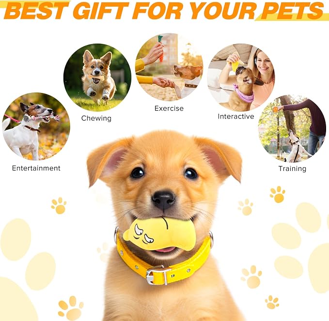 Puppy Chew Toys for small & Medium Dog, Cute Plush Dog Squeaky Toys for Puppies, Dog ChewToys with Rope Toys, Treat Ball for Teething, Interactive Dog Toys with Tough Chewers, Puppy Supplies - 23 Pack
