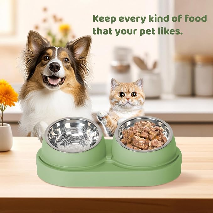 Cat Feeder and Water Dispenser, Cat Feeder with Stainless Steel Bowls, Pet Food Dispenser for Cats and Small Dogs, Easy to Clean(Green)