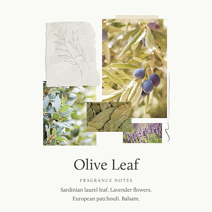 Thymes Cologne Spray Pen - 0.34 Fl Oz - Olive Leaf